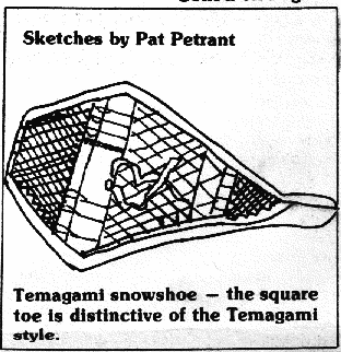 Temagami snowshoe