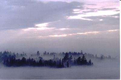 Rabbit island in March fog