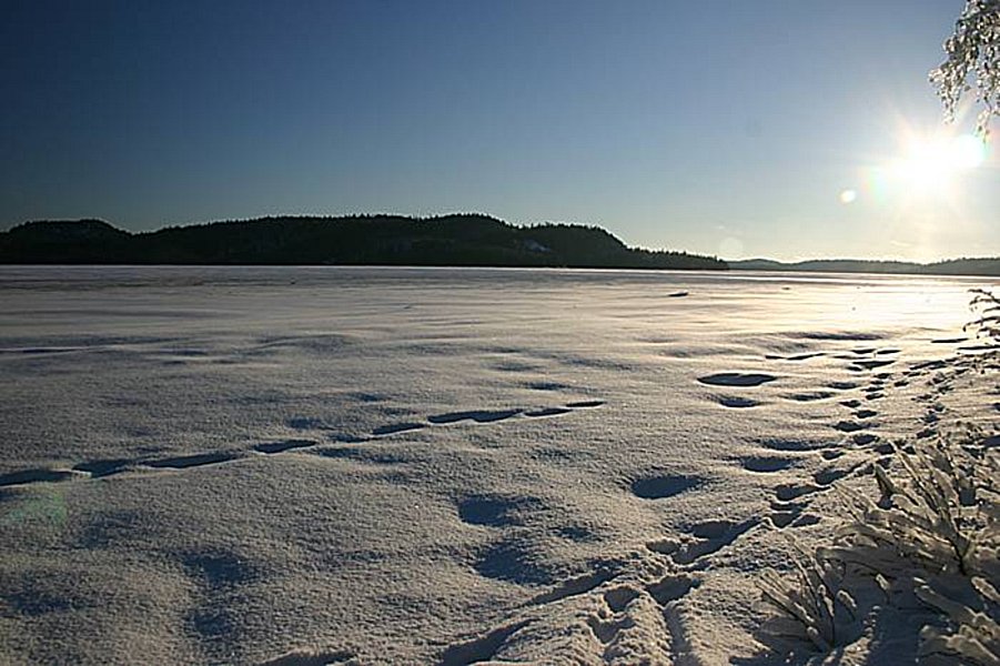 ferguson-bay-temagami-263