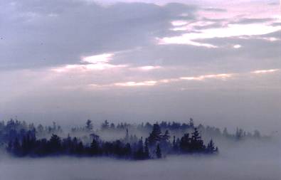 rabbit island in fog