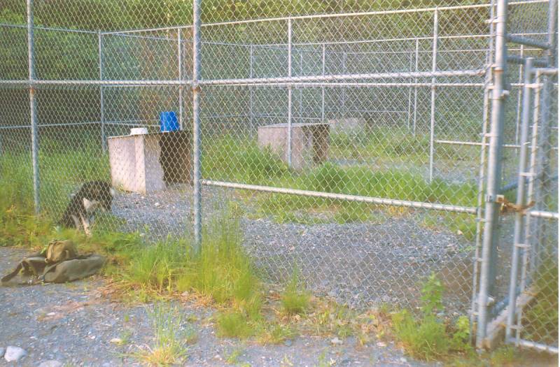 Dog Jail, Bear Island